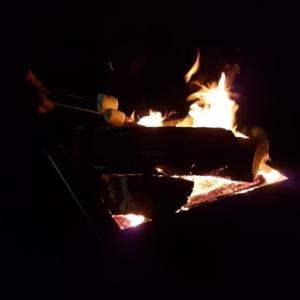 Ironfire firepit with BBQ